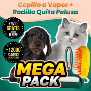 Cepillo a Vapor + Rodillo Quita Pelusa